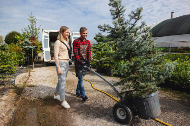 Best Tree Disease Treatment  in Arden Arde, CA